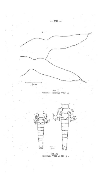 Fichier:ALS 1959 2.pdf