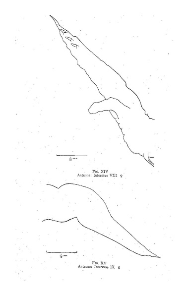 Fichier:ALS 1959 2.pdf
