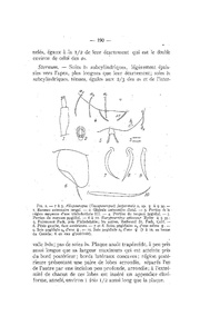 page suivante →