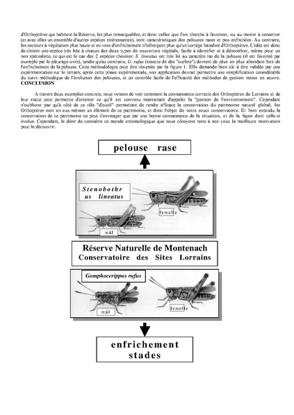 Fichier:ALS 2002 41 Jacquemin.pdf