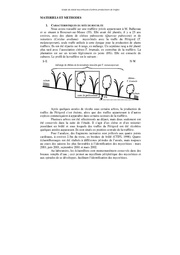 page suivante →
