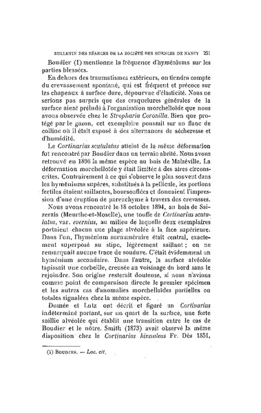 Fichier:ALS 1914 15.pdf