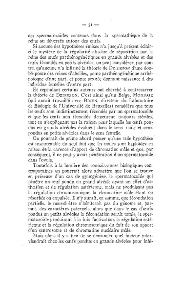 Fichier:ALS 1951 2-4.pdf