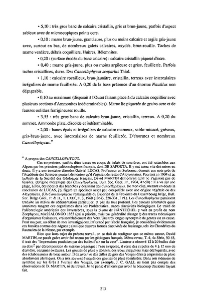 Fichier:ALS 1996 35 4.pdf