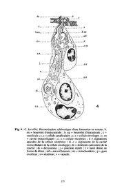 page suivante →
