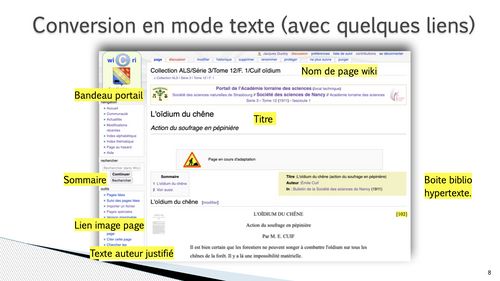 HIS 9 intro images.008.jpeg