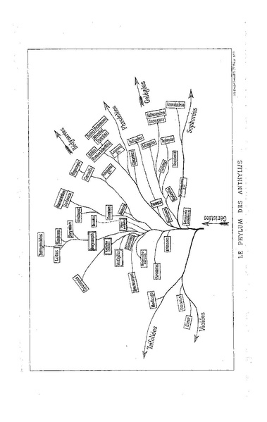 Fichier:ALS 1892 12 26.pdf