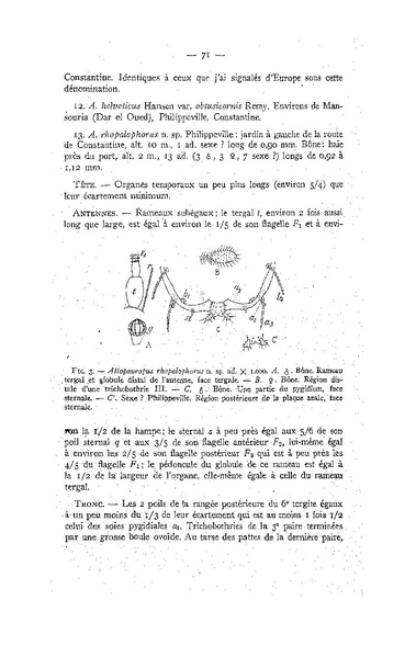 Fichier:ALS 1947 3.pdf