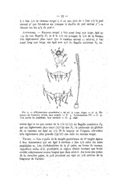 page suivante →