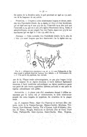 page suivante →