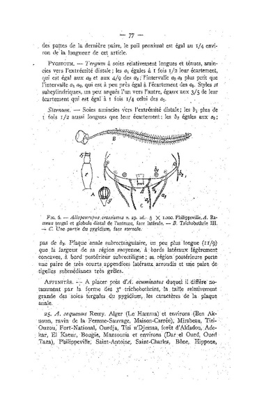 Fichier:ALS 1947 3.pdf