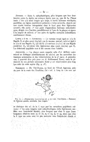 Fichier:ALS 1947 3.pdf
