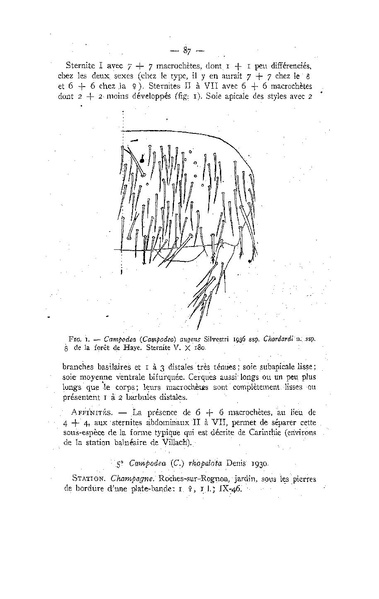 Fichier:ALS 1947 3.pdf