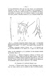 page suivante →