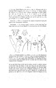 page suivante →