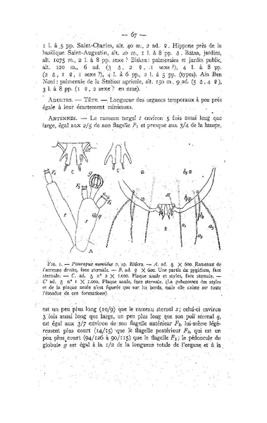 Fichier:ALS 1947 3.pdf