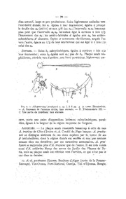 page suivante →