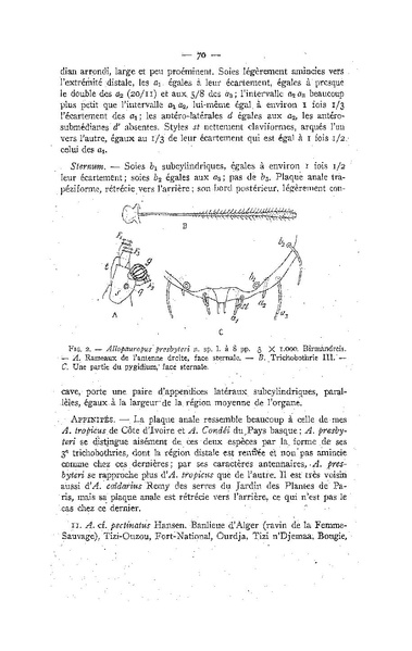 Fichier:ALS 1947 3.pdf
