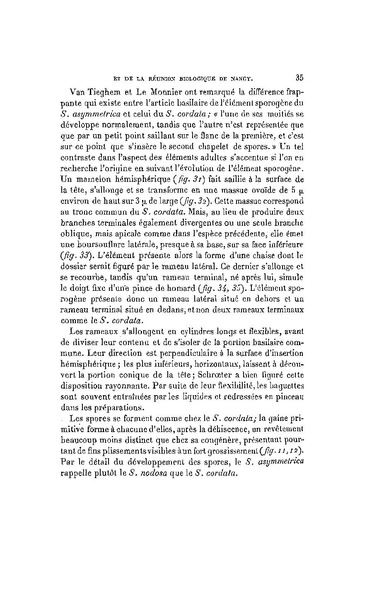 Fichier:ALS 1902 3.pdf