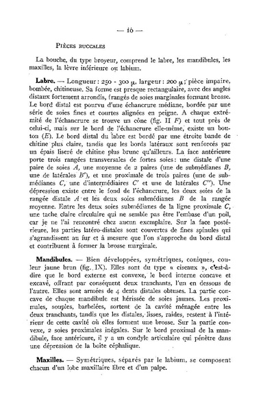 Fichier:ALS 1947 1.pdf