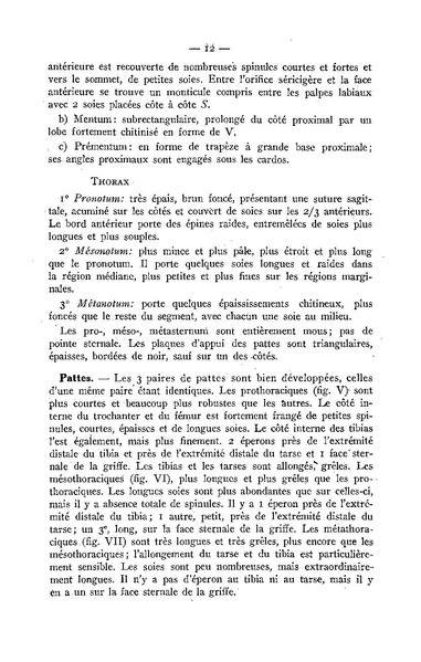 Fichier:ALS 1947 1.pdf
