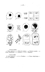 page suivante →