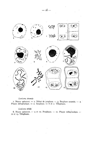 Fichier:ALS 1947 1.pdf