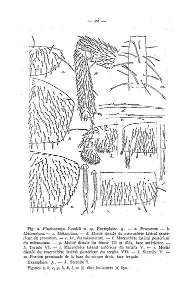Fichier:ALS 1947 1.pdf