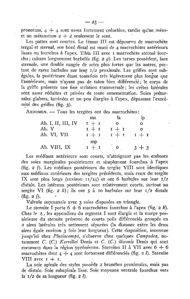 Fichier:ALS 1947 1.pdf