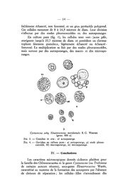 page suivante →