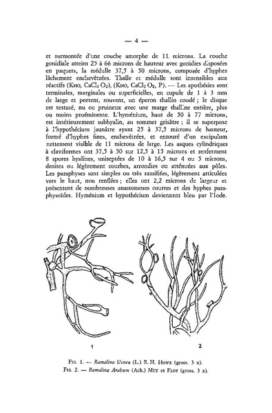 Fichier:ALS 1965 5 1.pdf