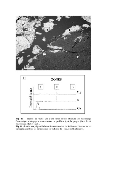 Fichier:ALS 2001 40 4.pdf