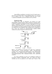 page suivante →