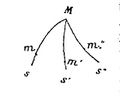 ALS 1891 Calinon lemme 4 4.jpg