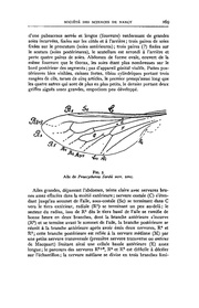 page suivante →