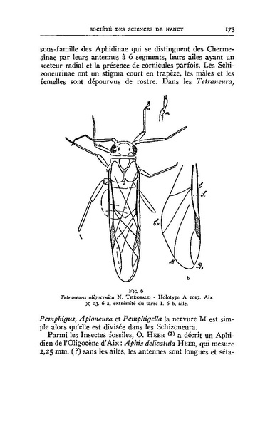 Fichier:ALS 1937 6 0.pdf