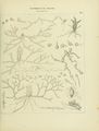 ALS Mémoires 1850 page 83.jpg