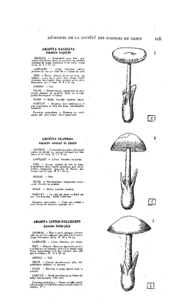 Fichier:ALS 1929 1.pdf