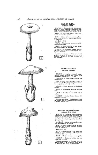 Fichier:ALS 1929 1.pdf