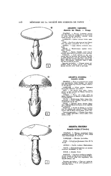 Fichier:ALS 1929 1.pdf