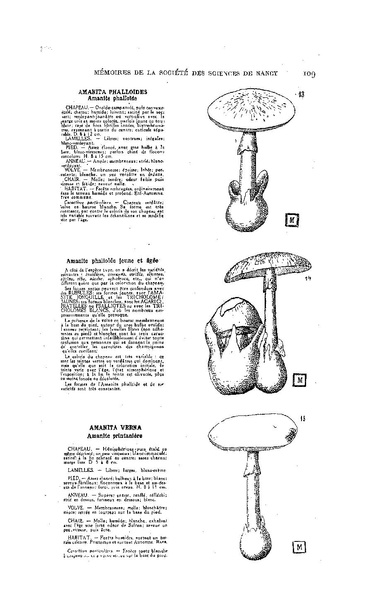 Fichier:ALS 1929 1.pdf