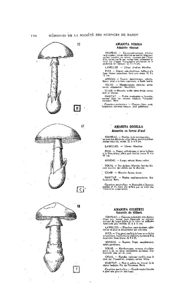 Fichier:ALS 1929 1.pdf