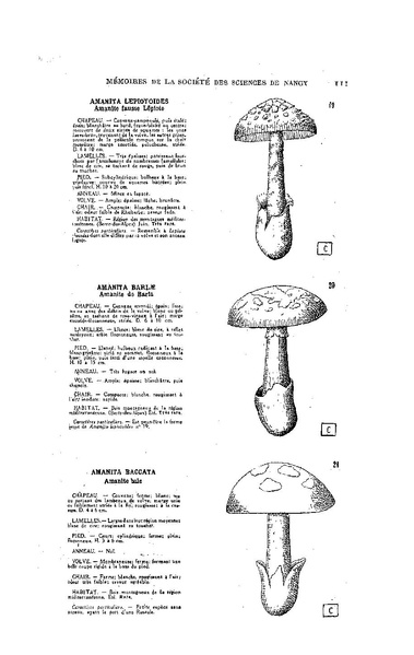 Fichier:ALS 1929 1.pdf