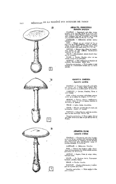 Fichier:ALS 1929 1.pdf