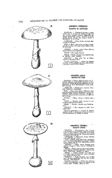 Fichier:ALS 1929 1.pdf