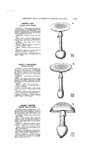 Fichier:ALS 1929 1.pdf
