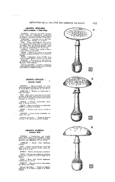 Fichier:ALS 1929 1.pdf