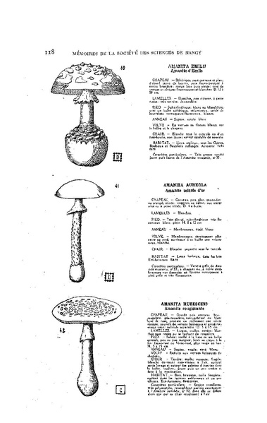 Fichier:ALS 1929 1.pdf