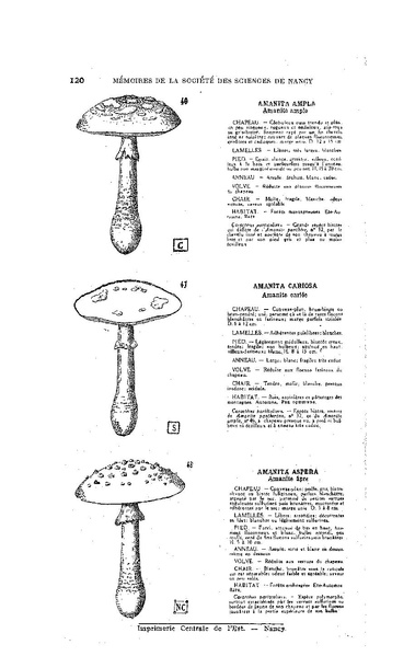 Fichier:ALS 1929 1.pdf