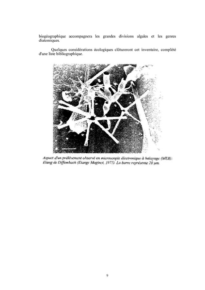 Fichier:ALS 2001 3.pdf